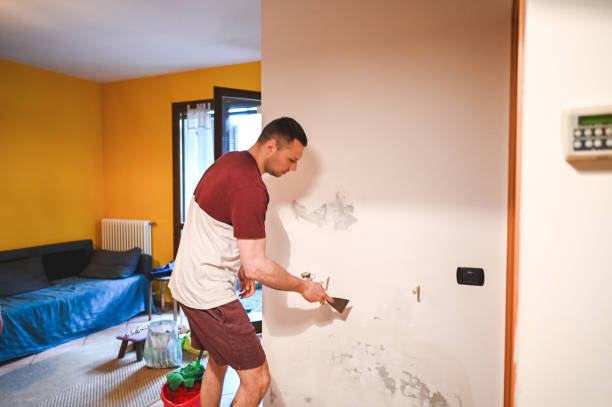  Chesaning, MI Mold Removal Pros